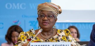 Tariff war could cut US-China goods trade by 80% – WTO chief Okonjo-Iweala