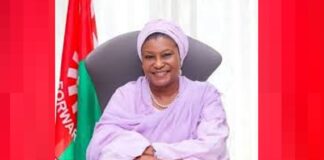 Emergency rule: Sen Kingibe rejects Senate’s voice vote, says it’s unconstitutional