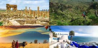 African countries that attracted most tourists in 2024