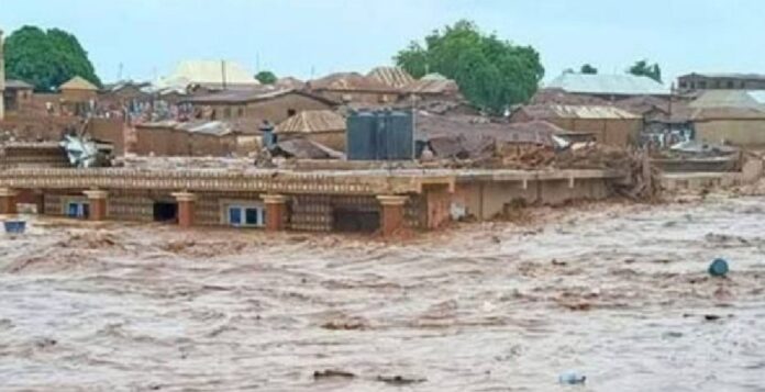Niger flood