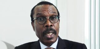 Only five airlines control 75% of air traffic in Nigeria – Rewane