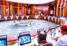 NEC sets up committee to fast track implementation of Livestock Development