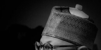 Milestone garlands of grace: Radda’s life of service to Katsina