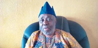 Prof Wande Abimbola raises the alarm, says ‘Professors’ monthly pay is what my gardener earns in 3 hours’