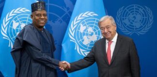 UNGA 80: Shettima meets UN Secretary-General over Nigeria’s Security Council bid, UNDP partnership, Others
