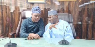 INEC partners NBS on data synergy for national development