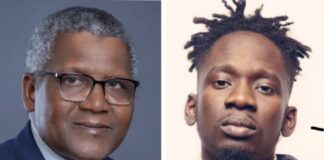 Mr Eazi runs businesses in 18 countries – Dangote