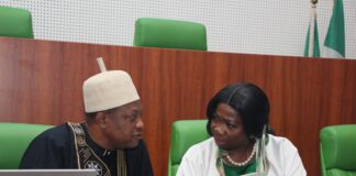 Bill to actualise Diaspora voting underway in NASS as Nigeria deepens diaspora engagement