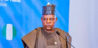 Nigeria leads West Africa in climate commitment, eyes investment boost at COP30