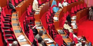 Kebbi schoolgirls’ abduction: Senate demands probe of $30m Safe-School Funds, seeks recruitment of 100,000 troops