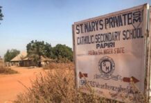 Big relief for parents as FG secures release of 100 kidnapped students in Niger